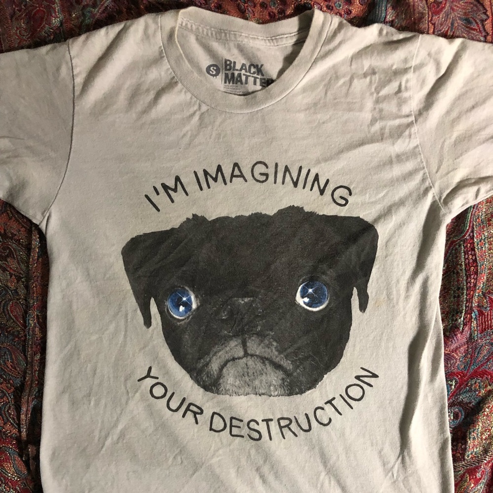 I’m Imagining Your Destruction T-shirt